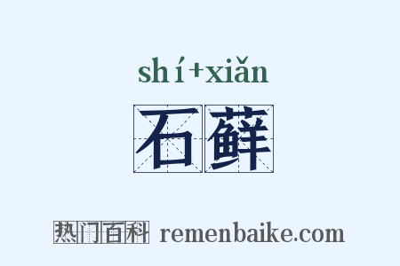 石藓是什么意思的图片